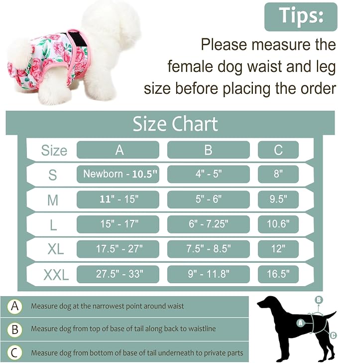 Washable Female Dog Diapers - Premium Reusable Diapers for Doggie in Heat - Highly Absorbent Dog Diapers Female for Pet Incontinence with Adjustable Snaps Sunflower, XL