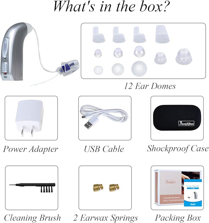 Banglijian Rechargeable Hearing Aid RIC(Receiver in canal) for Seniors and Adults with Digital Noise Cancelling and Feedback Cancellation, Powerful Digital Hearing Aid (Blue-Left Ear)