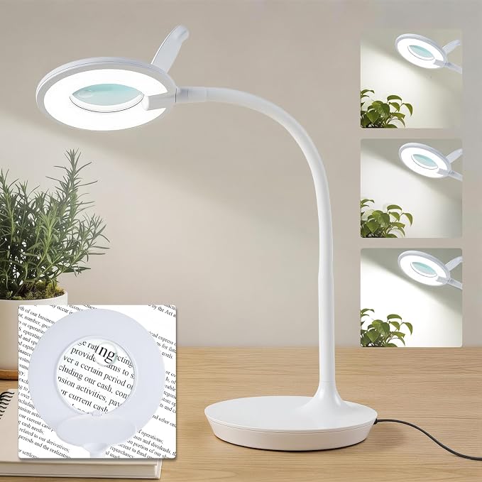 3X+6X Magnifying Glass with Light and Stand, Dimmable LED Magnifying Lamp | Flexible Gooseneck, Hands Free Magnifier, Magnification Lamp for Elderly Craft Hobby Painting Sewing Close Work,Weighted Base