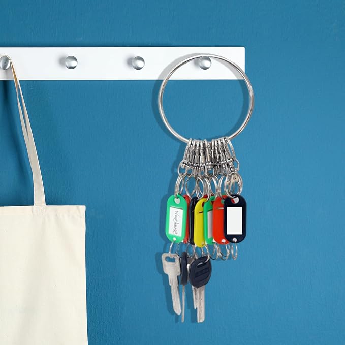 Large Key Ring - 21pcs Janitor Big Multi Key Chain Organizer Extra Metal Hoop Holder with Labels Tags for Landlord for Office, Schools, Warehouse, Hotel, Apartments, 3.5 inch