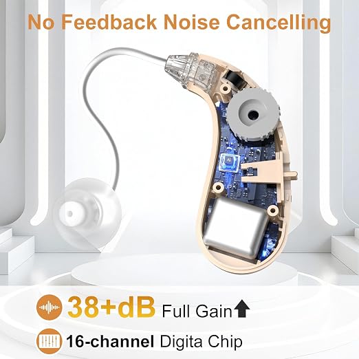 Hearing Aids, 16-Channel Digital Hearing Aids for Seniors, Rechargeable Hearing Aid for People with Hearing Loss, 4 Levels of Volume/Two Mode Noise Cancellation, Clear Sound and Easy to Use