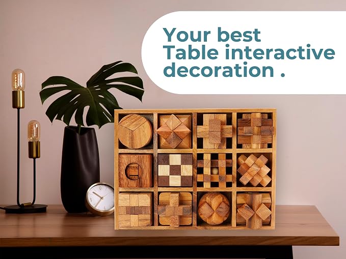 BSIRI 12 in 1 3D Wood Puzzle Box Set - Wooden Brain Teaser Puzzles for Adults Interlocking Toys Games for IQ and Mind Ideal for Patio Decor Desk Office and Unique Gift Hand Game (12 Games)