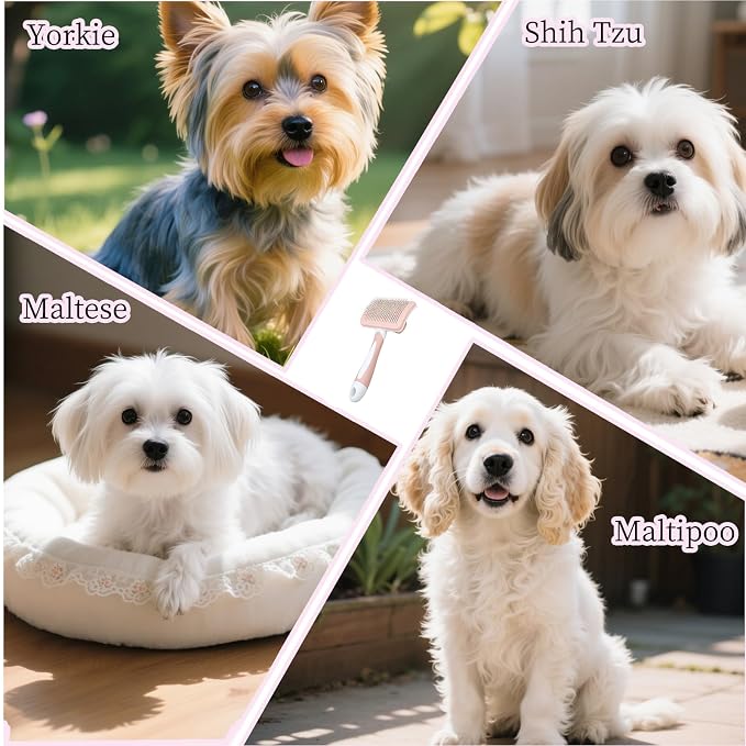 Self Cleaning Slicker Dog Brush for Small Long-Haired Breeds, One-Click Hair Removal, Puppy Essentials, Fit Yorkie, Shih Tzu, Maltese, Maltipoo, Pomeranian, Pet Grooming Tool (Pink)
