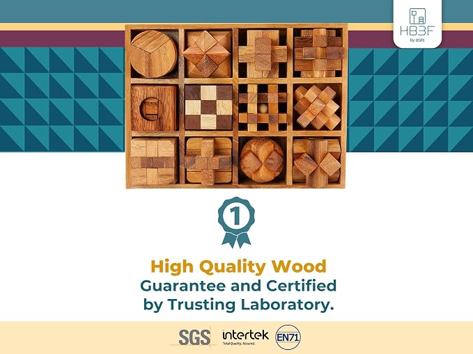 BSIRI 12 in 1 3D Wood Puzzle Box Set - Wooden Brain Teaser Puzzles for Adults Interlocking Toys Games for IQ and Mind Ideal for Patio Decor Desk Office and Unique Gift Hand Game (12 Games)