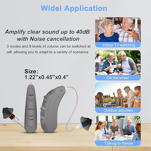 BLJ Rechargeable Hearing Aids for Seniors & Adults - 12 - Channel Clear Sound, RIC Design, Intelligent Noise Reduction & Feedback Cancellation - Portable Charging Case (Gray)