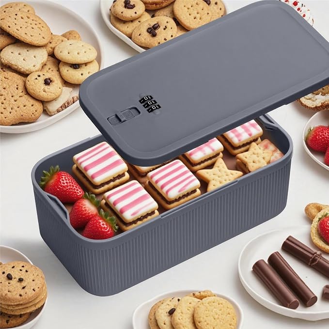 Small Lock Box for Medication Safe Refrigerator Lock Box Small Lockable Medicine Storage Box for Food Mobile Personal Items Refrigerator Snack Lockbox for Office Home School(Gray)