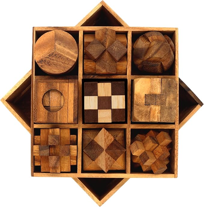 BSIRI 9 in 1 Wooden Brain Teaser Puzzles for Adults Teens Box Set Wood Hard Level 10 Impossible Mind Wood Brain Teaser Games 3D Hand Puzzle Sets for Decoration and Mini Toys