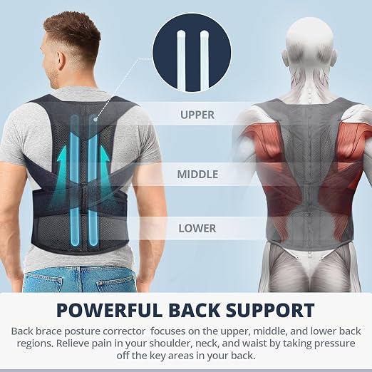 Fitsupport Back Brace Posture Corrector for Women and Men Back Lumbar Support Shoulder Posture Support for Improve Posture Provide and Back Pain Relief XLarge(Pack of 1)