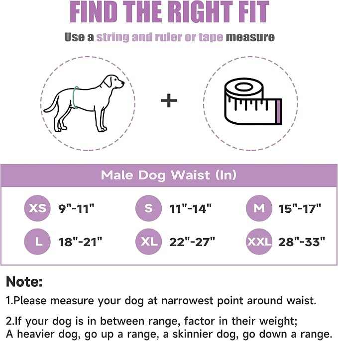 wegreeco Washable Male Dog Belly Band (Stylish Pattern) - Pack of 3 - Dog Diapers Male - Washable Male Dog Belly Wrap (Interstellar, Large)