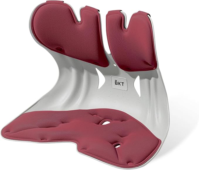 BKT Ergonomic Seat Cushion - Lumbar Support Pillow for Office Chair & Floor | Premium upgraded materials for long sitting. Comfort for students, nursing mothers, office workers and outdoor fishing trips