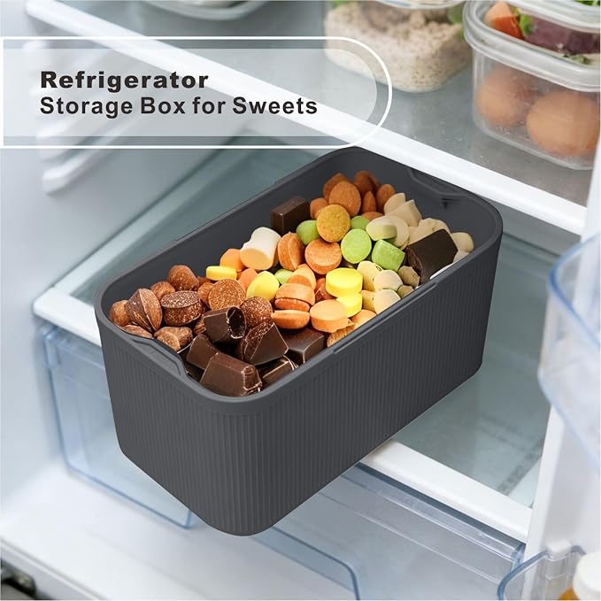 SANIDIKA Lockable Storage Box, Locking Medicine Box, Cell Phone Locked Jail, Food Medical Lockbox, Containers Bin for Personal Refrigerator Home Office Organization Travel Farther Gift (Navy Plus)