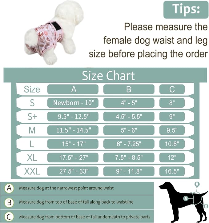 Washable Female Dog Diapers (5 Pack) - Doggie Reusable Small Medium Large Dog Diapers for Doggy Puppy Female in Period - Highly Absorbent Dog Heat Panties,S Plus,Breenish Lily Flower