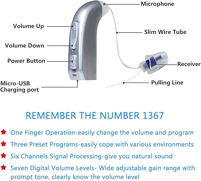 Banglijian Rechargeable Hearing Aid RIC(Receiver in canal) for Seniors and Adults with Digital Noise Cancelling and Feedback Cancellation, Powerful Digital Hearing Aid (Blue-Left Ear)