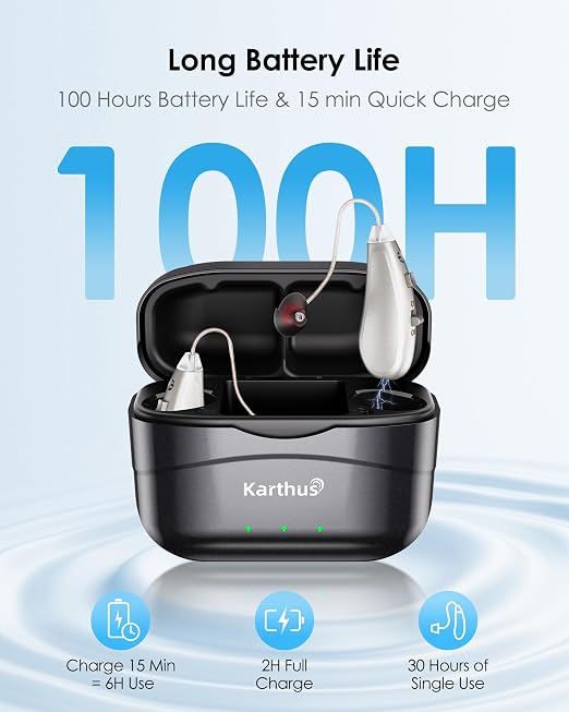 Karthus Hearing Aids, Rechargeable Hearing Aids for Seniors with Hearing Loss, Noise Cancelling & Clear Sound, Comfort & Invisible, 100H Battery Life, 7 Volume Levels, One-Button Operation, Gra Silver
