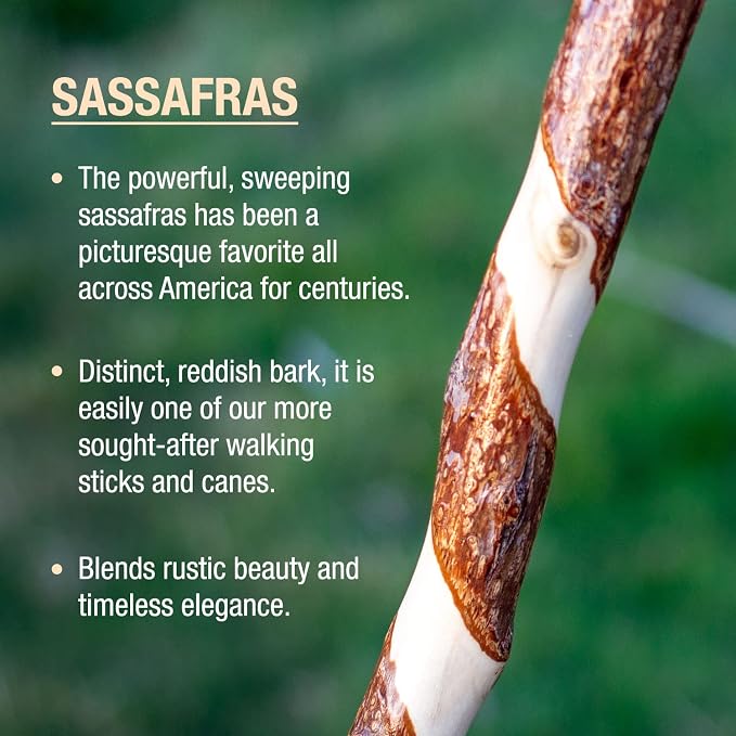 Brazos Wooden Walking Canes for Men and Women, Stable Walking Sticks for Seniors, Made in The USA