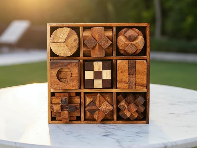 BSIRI 9 in 1 Wooden Brain Teaser Puzzles for Adults Teens Box Set Wood Hard Level 10 Impossible Mind Wood Brain Teaser Games 3D Hand Puzzle Sets for Decoration and Mini Toys