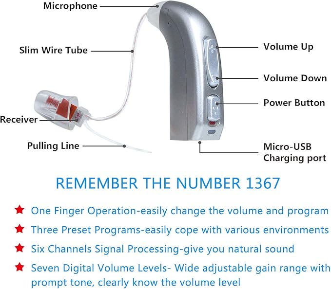 Banglijian Rechargeable Hearing Aid RIC(Receiver in canal) for Seniors and Adults with Digital Noise Cancelling and Feedback Cancellation, Powerful Digital Hearing Aid (Red-Right Ear)