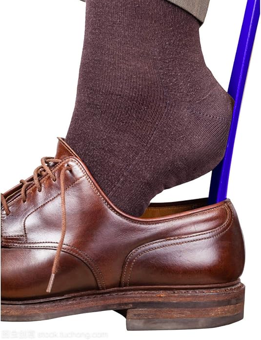 Ginkgo Shoe Horn Long Handled Shoehorn