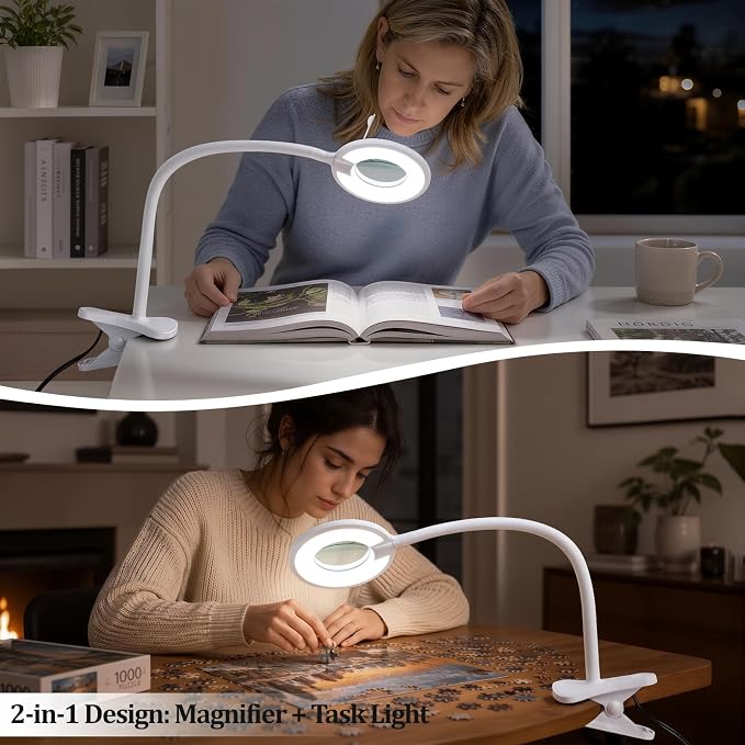 3X+6X Magnifying Glass with Light and Stand,Dimmable LED Magnifying Lamp | Clip on, Flexible Gooseneck, Hands Free Magnifier, Magnification Lamp for Elderly Craft Hobby Painting Sewing Close Work