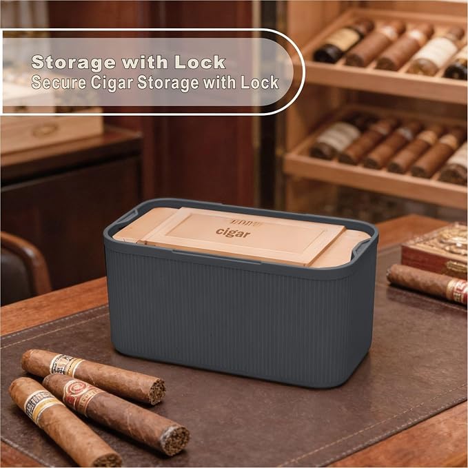 SANIDIKA Lockable Storage Box, Locking Medicine Box, Cell Phone Locked Jail, Food Medical Lockbox, Containers Bin for Personal Refrigerator Home Office Organization Travel Farther Gift (Navy Plus)