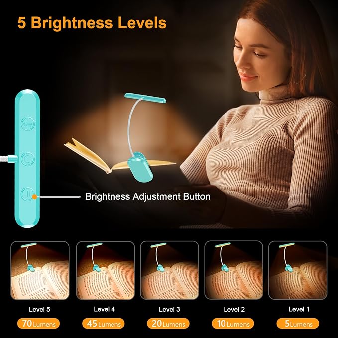 Gritin Rechargeable Book Light for Reading in Bed with 19 LED | Eye Caring 3 Color Temps, 5 Brightness Levels, Memory Function, 90 Hrs Runtime Flexible Goose Neck Clip on Light-Blue