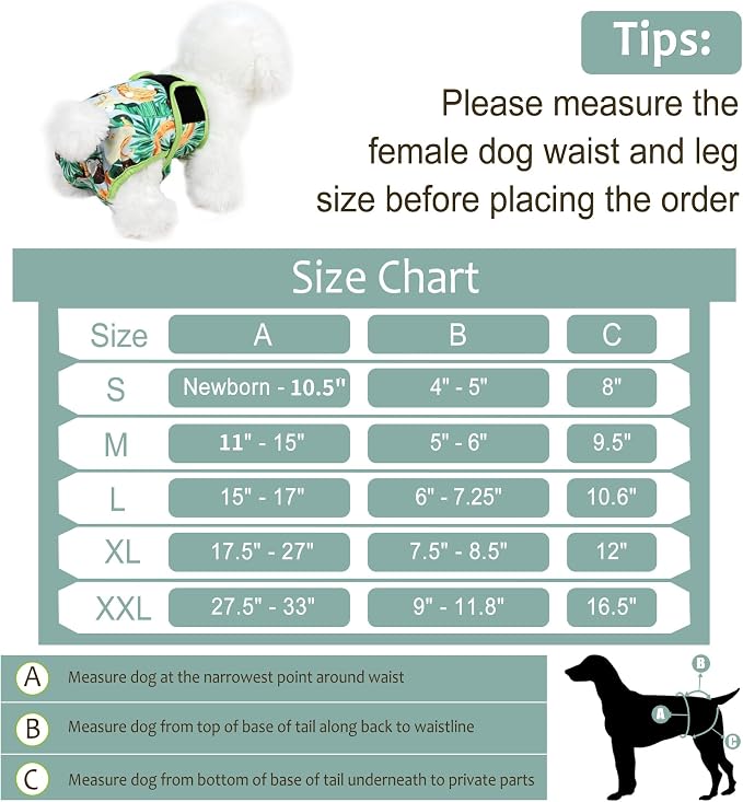 Washable Female Dog Diapers - Premium Reusable Diapers for Doggie in Heat - Highly Absorbent Dog Diapers Female for Pet Incontinence with Adjustable Snaps (Succulents, M)