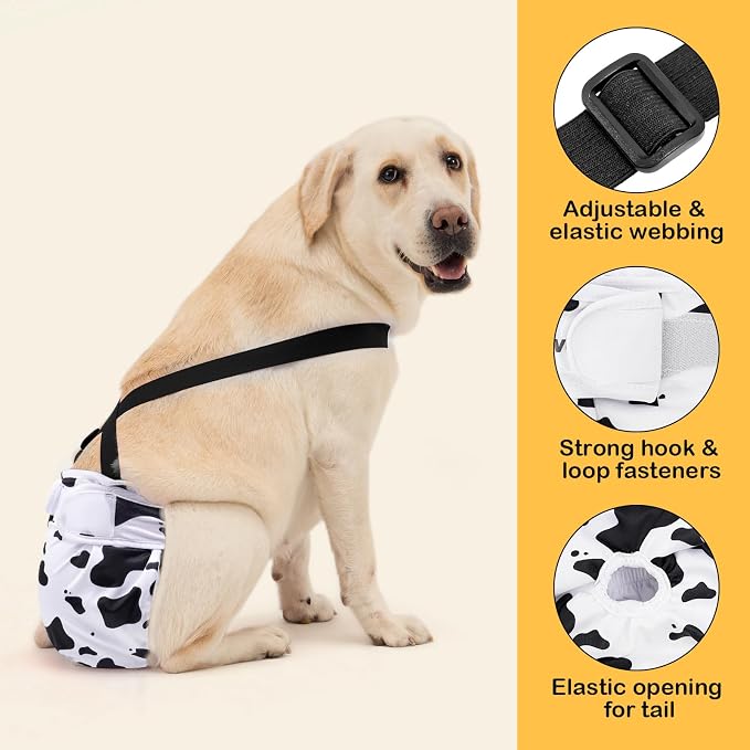 Avont 3 Pack Washable Female Dog Diaper with Suspender - M | Reusable Girl Doggie Diapers for Small Medium Large Dog in Heat Cycle Period Incontinence (Duck/Cow/Pony)