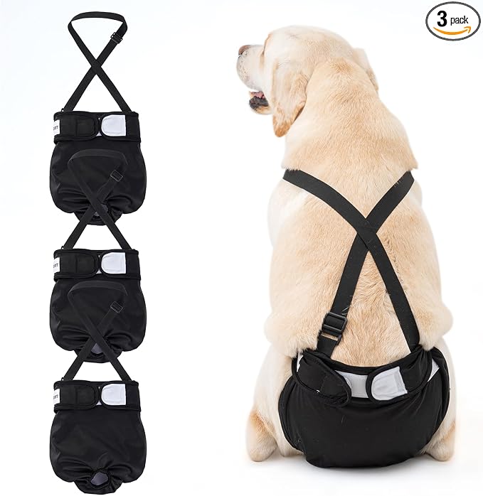 Avont 3 Pack Washable Female Dog Diaper with Suspender - M | Reusable Girl Doggie Diapers for Small Medium Large Dog in Heat Cycle Period Incontinence (All Black)