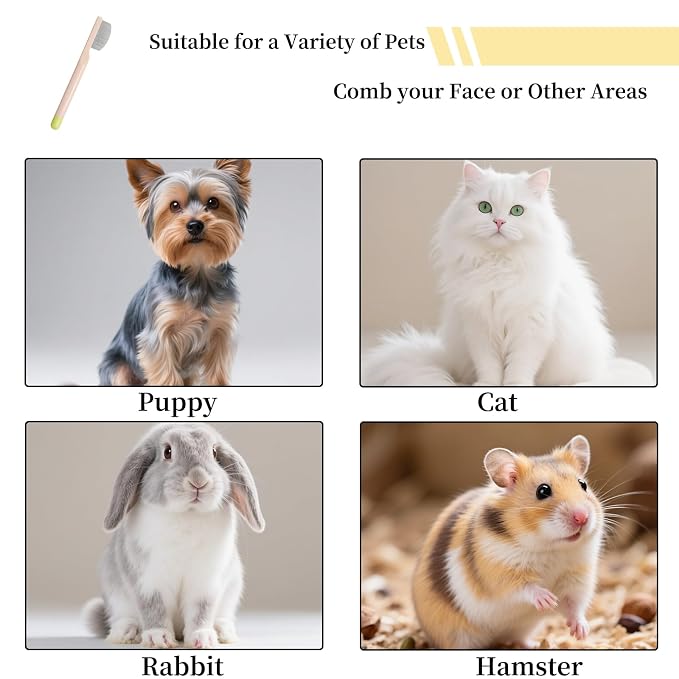 Stainless Steel Dog Eye Comb - Small Design for Pet Facial & Paw Grooming, Round-Tip Arc Teeth, ABS Handle, Puppy Flea Brush, Fit Yorkie, Shih Tzu, Maltese Maltipoo Pomeranian Cat