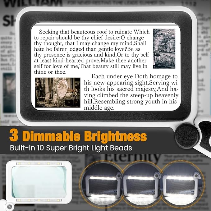 Rechargeable Magnifying Glass with Light for Reading, 5X Large Page Magnifier with LED Lighted for Seniors Low Vision, Folding Handheld Rectangle Magnifier for Reading Small Print Black-White