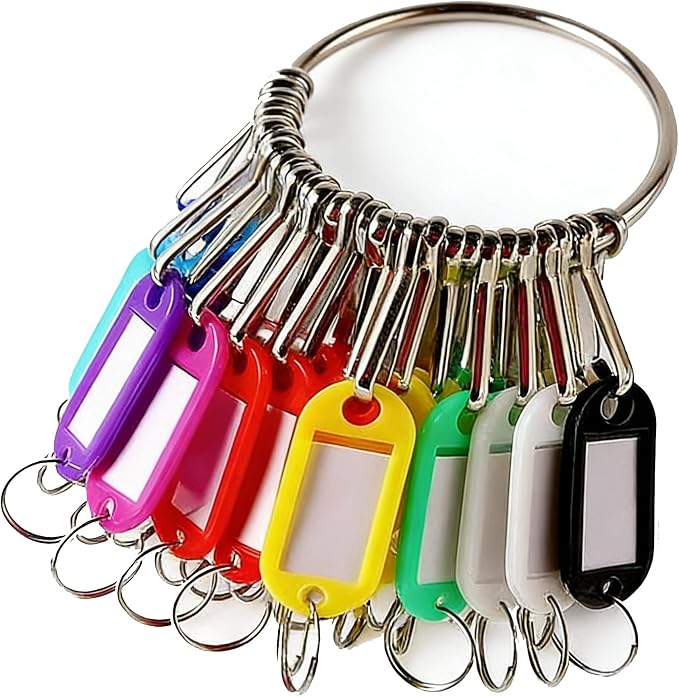 Portable Key Organizer with Key Tags Set 30 Colored Key Labels with Janitor Key Ring Hoop Key Chain Frequency Management Multiple Keys Holder for Unit Property Manager Office Cabinet Keys