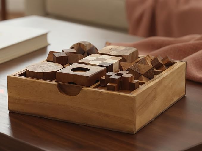 BSIRI 9 in 1 Wooden Brain Teaser Puzzles for Adults Teens Box Set Wood Hard Level 10 Impossible Mind Wood Brain Teaser Games 3D Hand Puzzle Sets for Decoration and Mini Toys