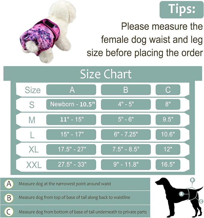 Female Dog Diapers - Premium Reusable Diapers for Doggie in Heat - Highly Absorbent for Pet Incontinence with Adjustable Snaps Butterfly, L