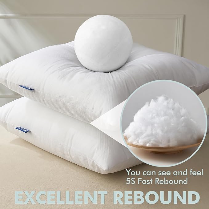 MIULEE Pillow Insert 20x20 Inch Set of 2 Decorative Throw Pillow Inserts | Premium Fluffy Pillow Forms Sham Stuffer for Sofa Couch Living Room