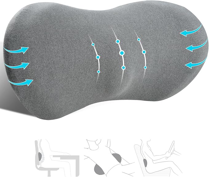 kasney Lumbar Support Pillow, Memory Foam Lumbar Pillow for Lower Back Pain Relief, Back Support Pillow for Office Chair, Car Seat - Dark Gray