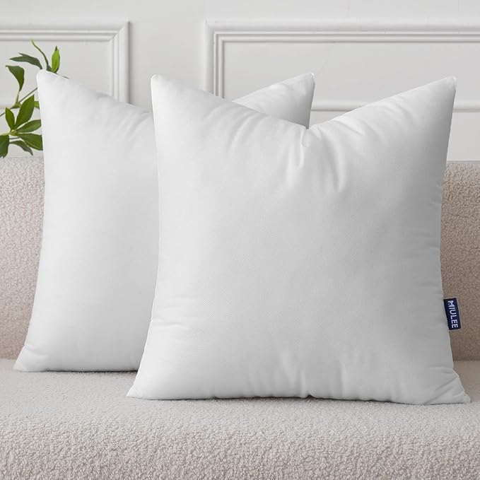 MIULEE Pillow Insert 24x24 Inch Set of 2, Decorative Throw Pillow Inserts | Premium Fluffy Pillow Forms Sham Stuffer for Sofa Couch Living Room