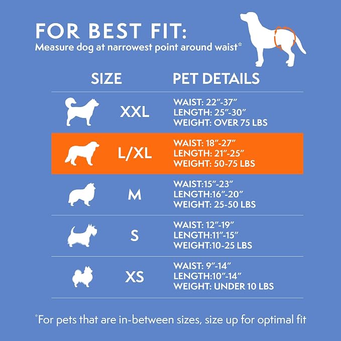 Simple Solution Female Dog Diapers, Disposable Dog Diapers, L/XL, 30 Count | Dog in Heat, Potty Training, Incontinence Support, Leak Proof, Puppy Training, Disposable Protection, Secure Fit, 18-27 Inch