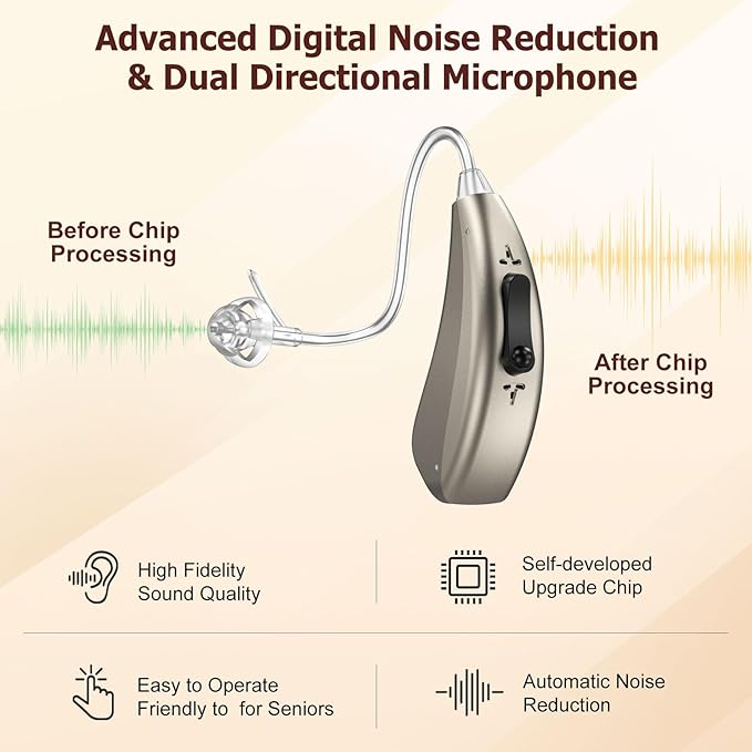 Rechargeable Hearing Aids for Seniors Severe Hearing Loss Earrck Hearing Amplifier with Noise Cancelling BTE Hearing Aid with Volume Control Dual Micphone (Silver)