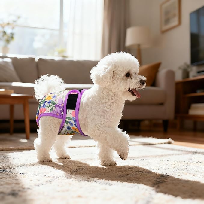 Dog Diapers Female- Reusable Diapers for Doggie in Heat - Highly Absorbent for Pet Incontinence with Adjustable Snaps Green, S