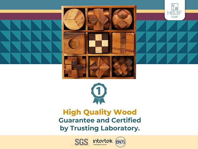 BSIRI 9 in 1 Wooden Brain Teaser Puzzles for Adults Teens Box Set Wood Hard Level 10 Impossible Mind Wood Brain Teaser Games 3D Hand Puzzle Sets for Decoration and Mini Toys
