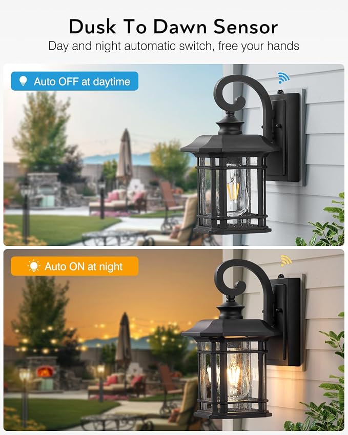 VIANIS Black Outdoor Light Fixture Dusk to Dawn, 2 Pack Porch Lights Outdoor, Exterior Lighting Fixtures with Seed Tempered Glass, Outside Lights for House, Garage, Doorway, Patio