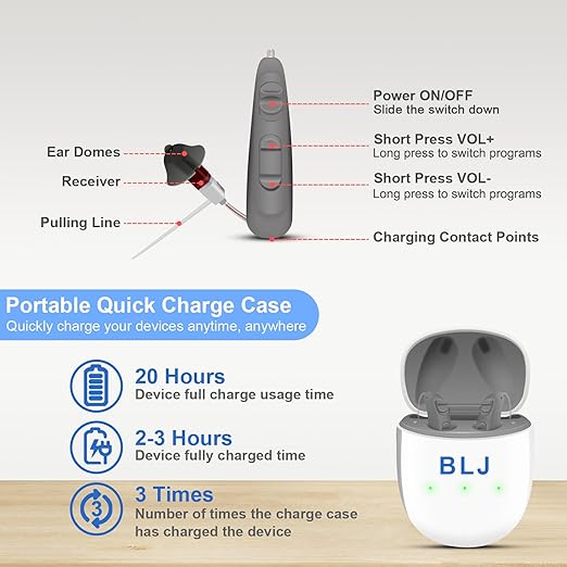 BLJ Rechargeable Hearing Aids for Seniors & Adults - 12 - Channel Clear Sound, RIC Design, Intelligent Noise Reduction & Feedback Cancellation - Portable Charging Case (Gray)