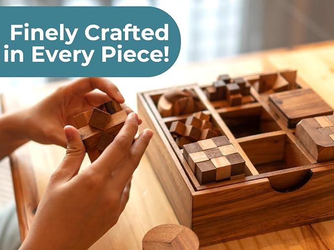 BSIRI 9 in 1 Wooden Brain Teaser Puzzles for Adults Teens Box Set Wood Hard Level 10 Impossible Mind Wood Brain Teaser Games 3D Hand Puzzle Sets for Decoration and Mini Toys