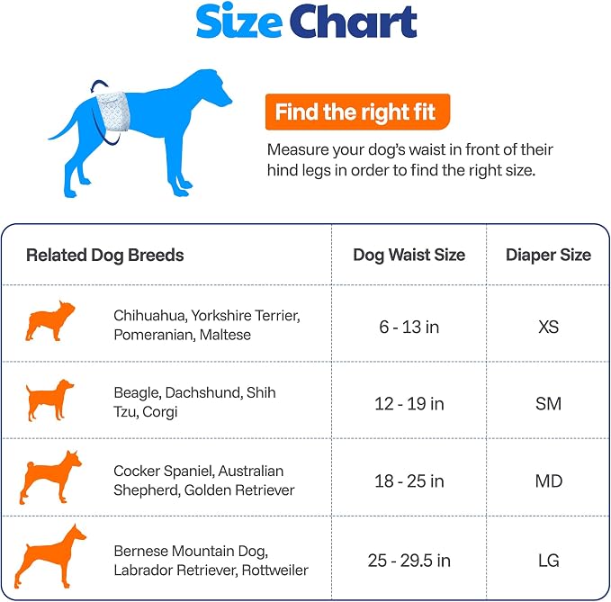 American Kennel Club Male Dog Wrap, Disposable Diapers with Wetness Indicator, Large, 50 Count