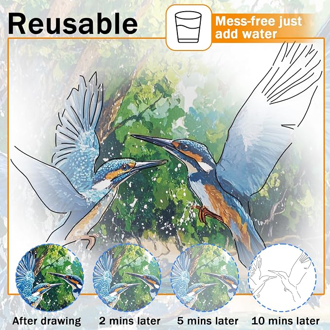 36Pcs Dementia Activities for Seniors,Reusable Water Coloring Set for Dementia Memories Activities, Adults Seniors Toys Games with Painting Brush Drawing Gifts (Mix)