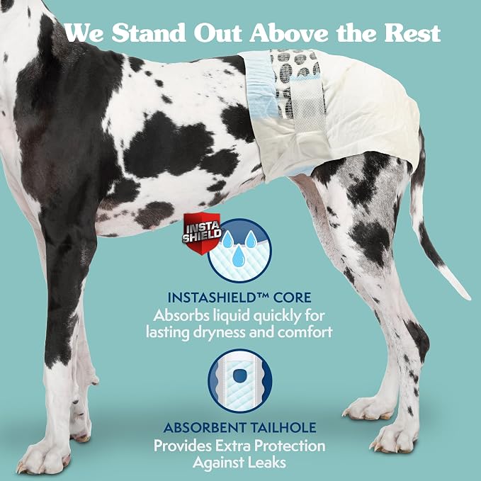 Simple Solution Female Dog Diapers, Disposable Dog Diapers, XXL, 12 Count | Dog in Heat, Potty Training, Incontinence Support, Leak Proof, Puppy Training, Disposable Protection, Secure Fit, 22-37 Inch