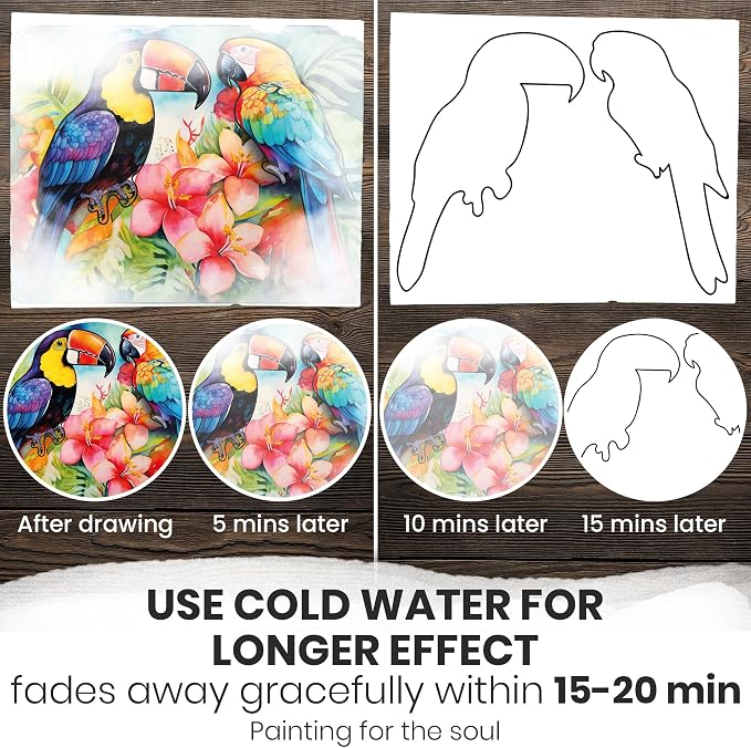 QUOKKA Water Painting Dementia Activities for Seniors – Alzheimer’s Products for Elderly – Reusable Water Doodle Set Tropics Memories – Activity Kits for Dementia Patients – Crafts for Seniors