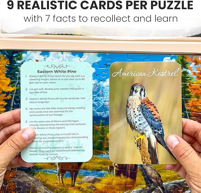 QUOKKA 100 Pieces Dementia Puzzles for Elderly - 3SET Large Piece Puzzles for Seniors - 9 Memory Flashcards with Facts I 25 Discussion Prompts per Puzzle - Alzheimer's Activities Products for Elderly