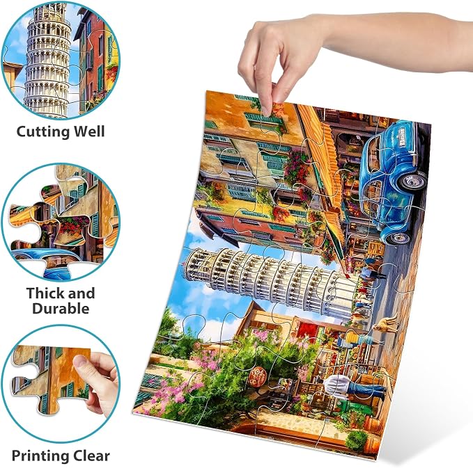 Biarek 6 Packs 16 Large Piece Puzzle for Seniors, Alzheimer's & Dementia Activities, Easy Puzzle, 6 Storage Bags