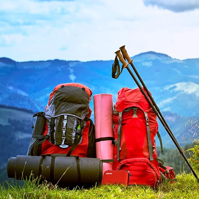 Snake Bite Kit for Humans, Bee Sting Kit, Rattlesnake Antivenom Extractor Sucker, Bug Bite and Wasp Sting, Poison Remover, Insect Bite Relief First Aid Kit for Hiking, Backpacking, Camping